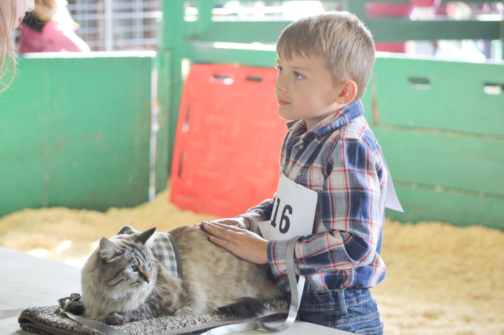 Rydge Wilkins and his cat photo